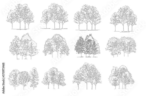 Group of trees line drawing, Side view, set of graphics trees elements outline symbol for architecture and landscape design drawing. Vector illustration.