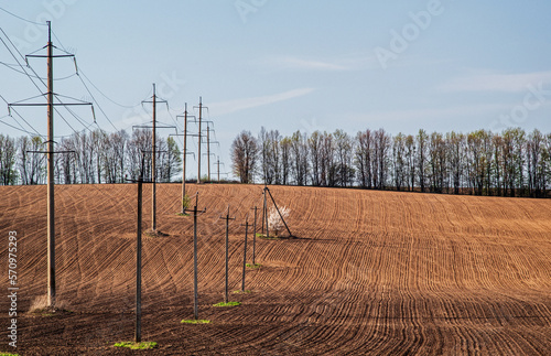 Power lines and flowering fruit tree in the middle of plowed field. Selective focus.
