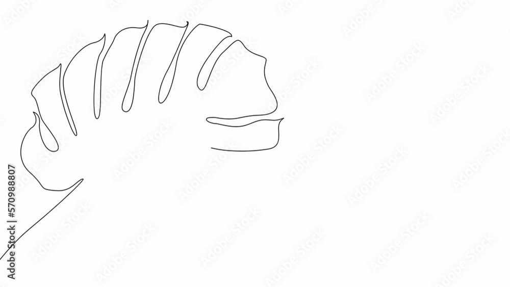 Monstera leaf. Linear drawing of a tropical plant on a white background, an emerging line and a green spot. Freehand drawing with black line Monstera leaf. Linear drawing of a tropical plant on a white background, an emerging line and a green spot. Freehand drawing with black line