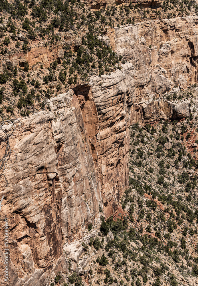 Grand Canyon (Arizona, USA) Grand Canyon (Arizona, USA)