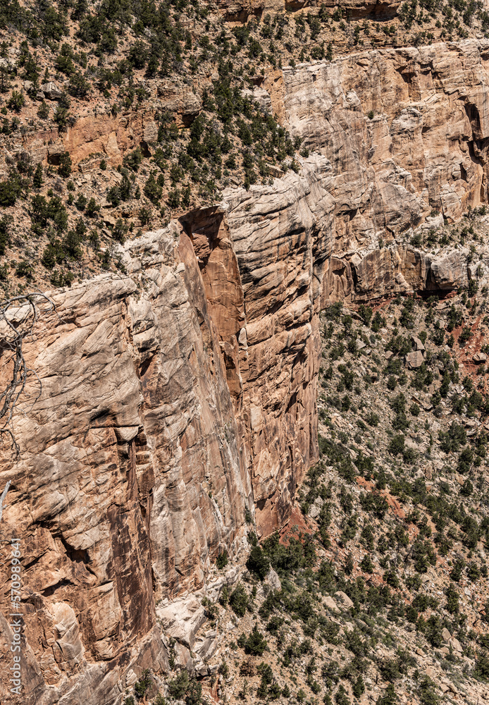 Grand Canyon (Arizona, USA)