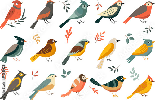 birds of different breeds set on white background isolated  vector