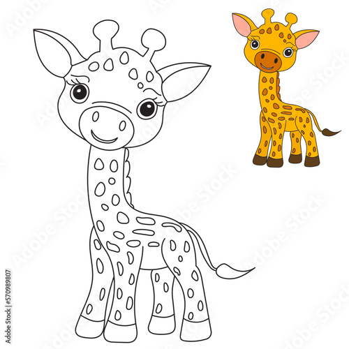 giraffe cartoon coloring book isolated, vector
