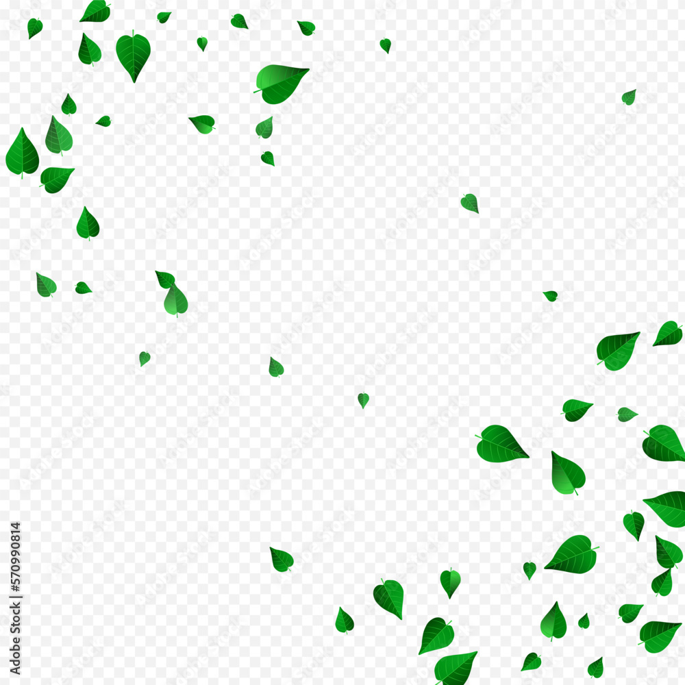 Lime Foliage Realistic Vector Transparent Lime Foliage Realistic Vector Transparent