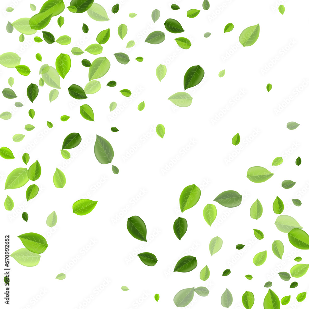 Swamp Leaves Swirl Vector Border. Fresh Greens Swamp Leaves Swirl Vector Border. Fresh Greens