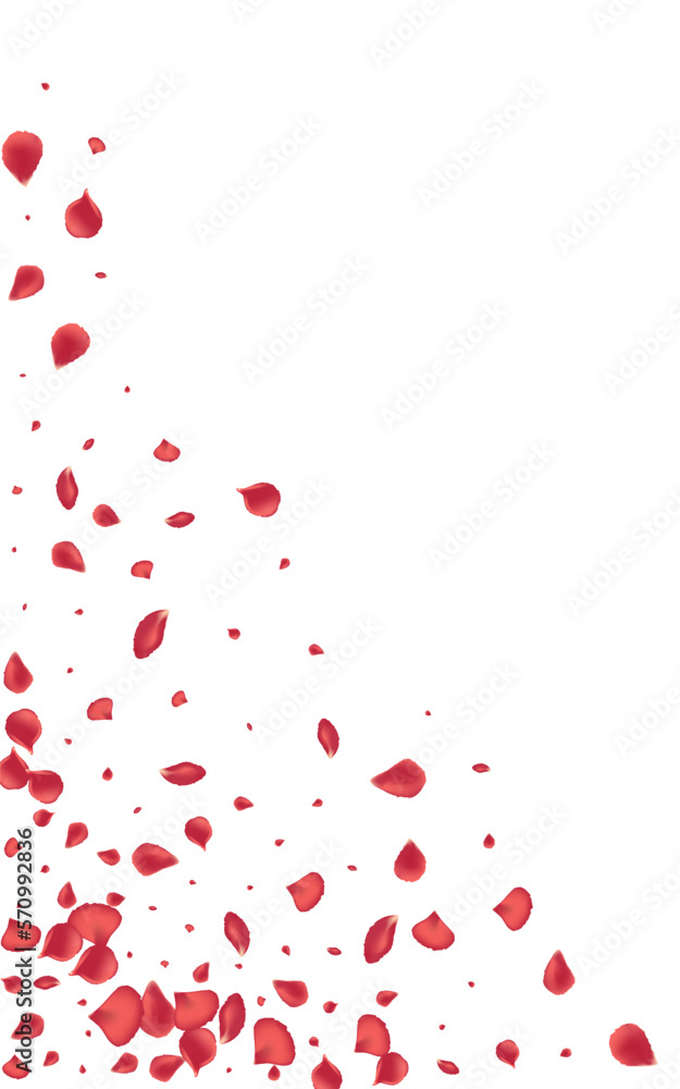 Beautiful Peach Japan Vector White Background. Beautiful Peach Japan Vector White Background.