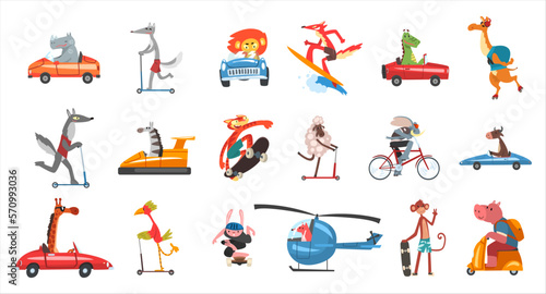 Set of funny animals riding various types of transport. Wild animals driving car, riding bicycle, kick scooter , skateboarding, flying on helicopter vector illustration