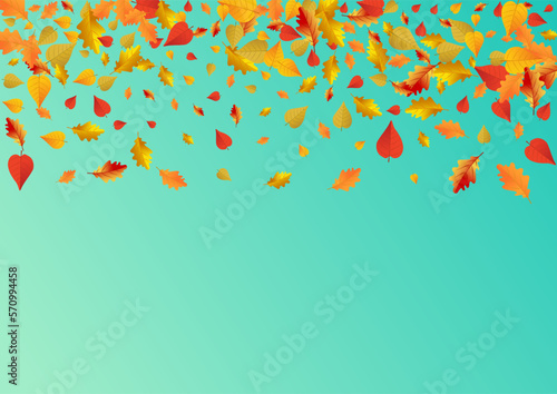 Golden Leaves Vector Blue Background. Nature