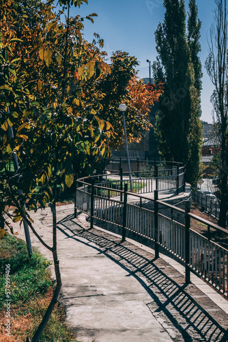 autumn park with railing shadows