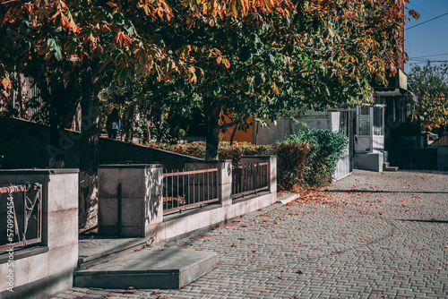 autumn red park with paving stones and white fence