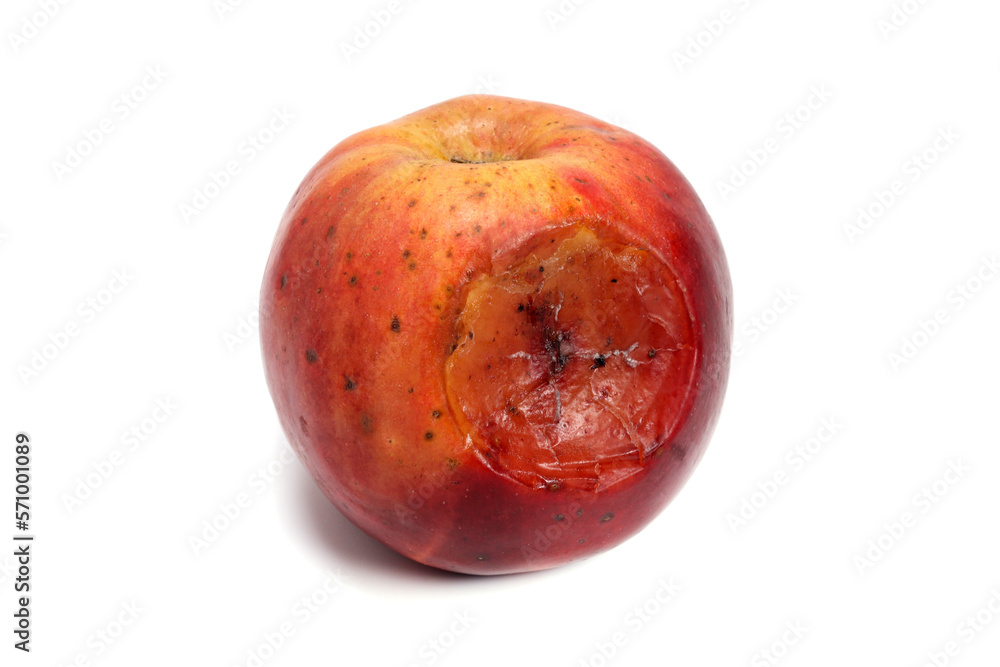 Obraz premium Red rotten apple on white background