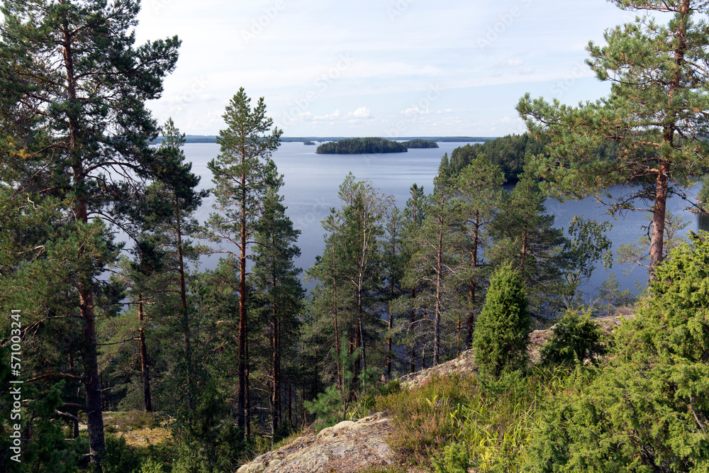 Obraz premium View of lake region during summer