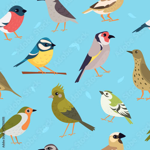 Birds pattern. Pigeons sparrow flying animals pictures for print design exact vector seamless backgrounds