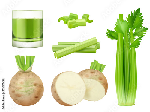 Green celery. Sliced pieces of vegan food green healthy smoothie decent vector pictures in realistic style