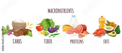 Food protein carbohydrate fiber nutrition macronutrients infographic concept. Vector graphic design illustration