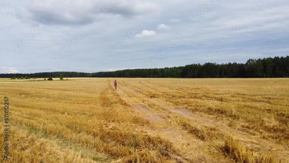 Aerial Drone Young woman standing and dance on a wheat field with sunrise on the background Aerial Drone Young woman standing and dance on a wheat field with sunrise on the background