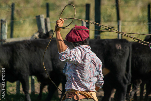 Hombre con lazo arreando el ganado en el campo photo