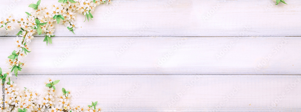 April floral nature banner. Spring blossom of may flowers on wooden. Branches of blossoming cherry against background. Copy space.