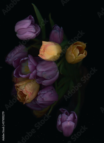 scanography photography of flowers, scanography of a tulip on a dark background, background for wedding invitations, cards with flowers