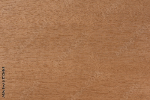 Wood with fine horizontal texture. Anigre wood texture with a reddish brown tint. Exotic wood from Africa for the production of plywood, furniture or interior elements