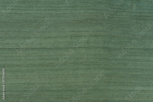 Texture of green wood. The texture of koto wood with a greenish tint. Exotic rare wood from Africa for the production of expensive furniture or interior elements