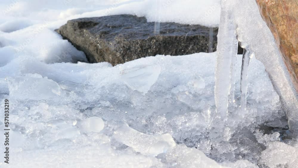 Drops melting water from roof fall onto snow icicles next to stone in spring