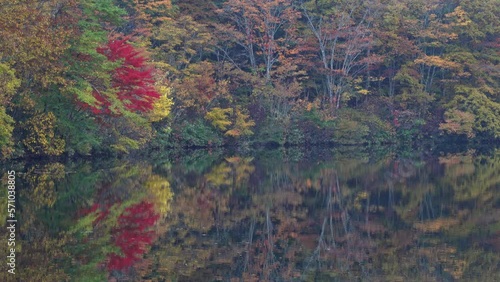 長野県 戸隠 鏡池の紅葉と秋の景色