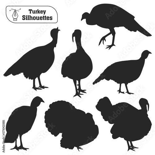 Vector collection of animal turkey silhouette in different poses