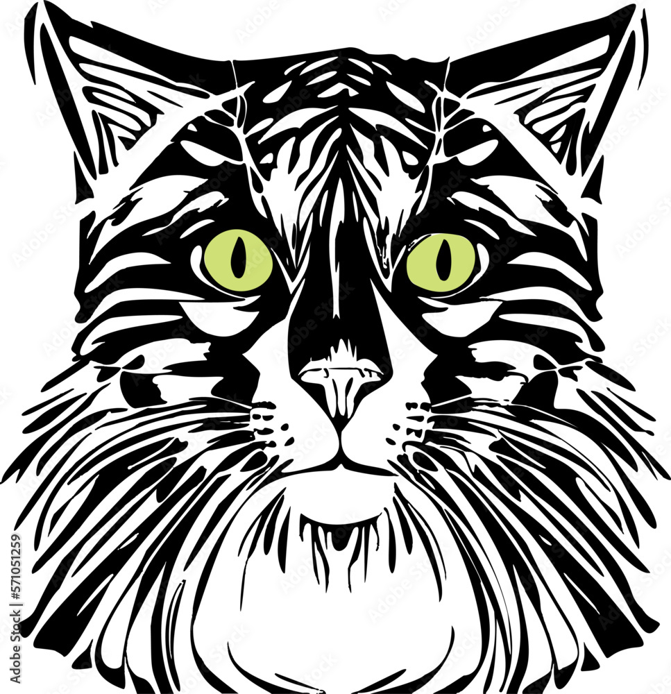 cat with green eyes cat with green eyes
