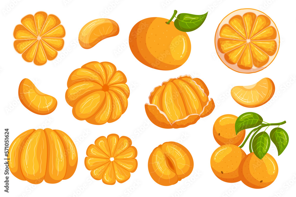 Φωτογραφία Set Of Mandarin Fruits, Bright And Juicy Fresh Citrus, Snacking Tasty Fruits