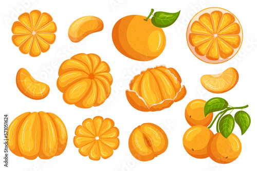 Set Of Mandarin Fruits, Bright And Juicy Fresh Citrus, Snacking Tasty Fruits. Peeled, Unpeeled, Whole And Sliced