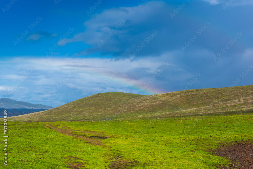 Panoramic view of a pasture at the Rush Ranch Open Space, Fairfield, California, USA, featuring the green, invasive grass that only lasts a few weeks in the winter through early spring, and a rainbow 