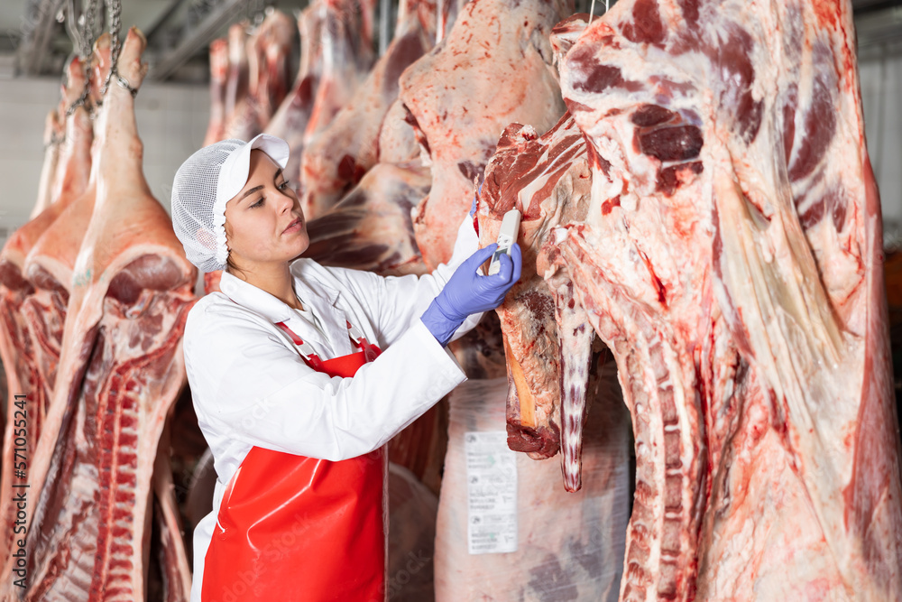 Female butcher inspecting temperature of beef with food thermometer