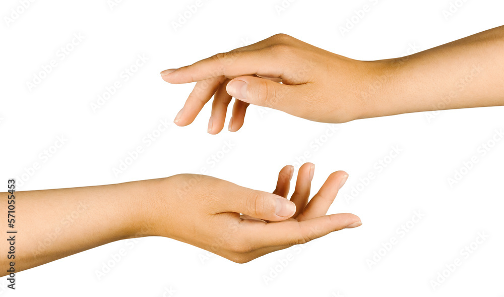 Two arms on top of each other on a white insulated background. Beautiful women's hands hold anything, an empty space between the hands with space for a copy
