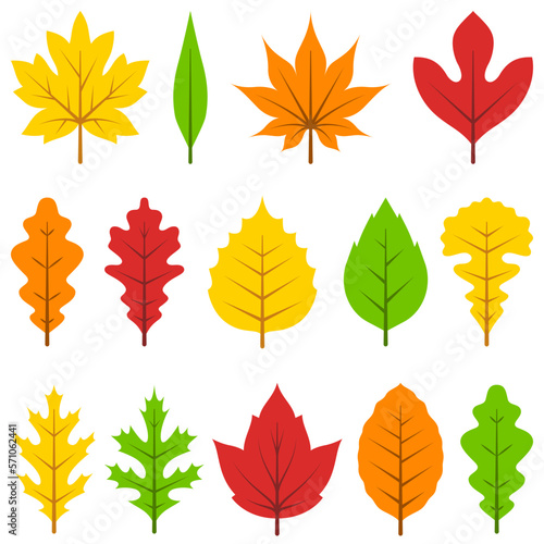 Colorful autumn leaves set, isolated on white background.