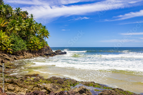 Trees and rocks at Havaizinho beach
