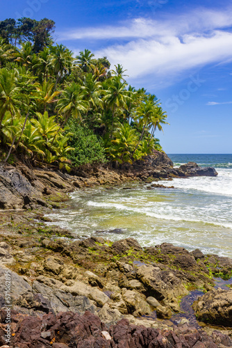 Trees and rocks at Havaizinho beach