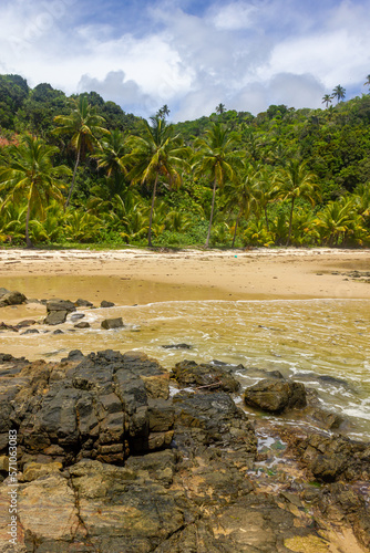 Rocks and forest at Camboinha beach photo