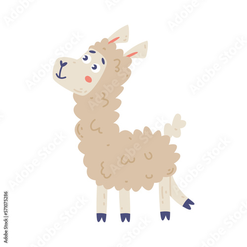 Adorable baby llama. Lovely wild animal. Cute childish print for banner, card, t-shirt cartoon vector illustration
