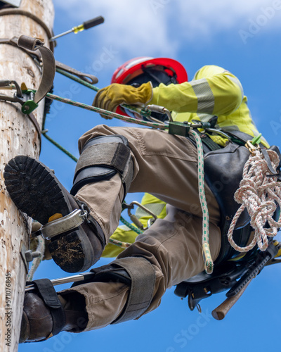 Worker Ascending Utility Pole  photo