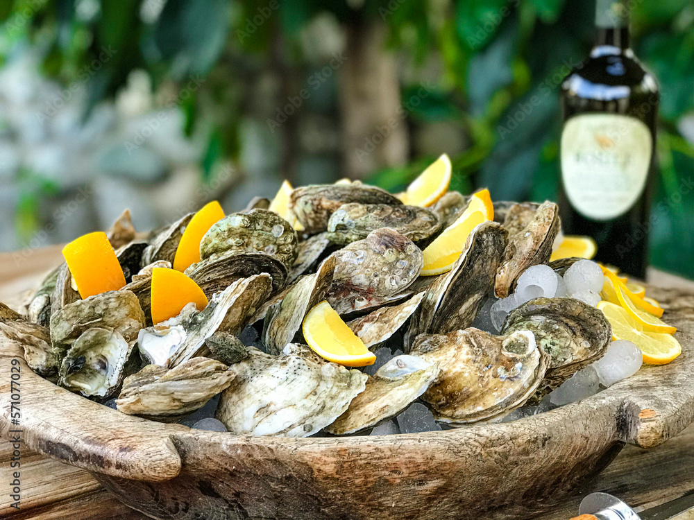 A fresh plate of fresh oysters with lemon A fresh plate of fresh oysters with lemon