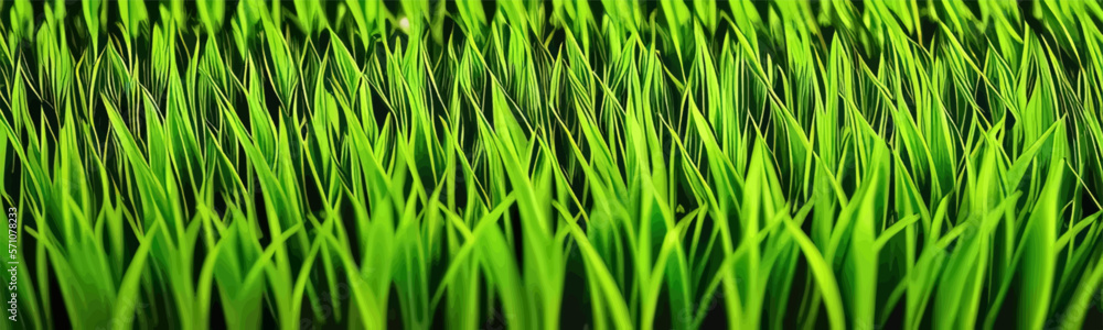 Lush green plant background featuring leaf pattern, embodying organic greenery, reminiscent of forest wallpaper. Lush green plant background featuring leaf pattern, embodying organic greenery, reminiscent of forest wallpaper.