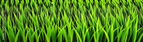 Lush green plant background featuring leaf pattern, embodying organic greenery, reminiscent of forest wallpaper.