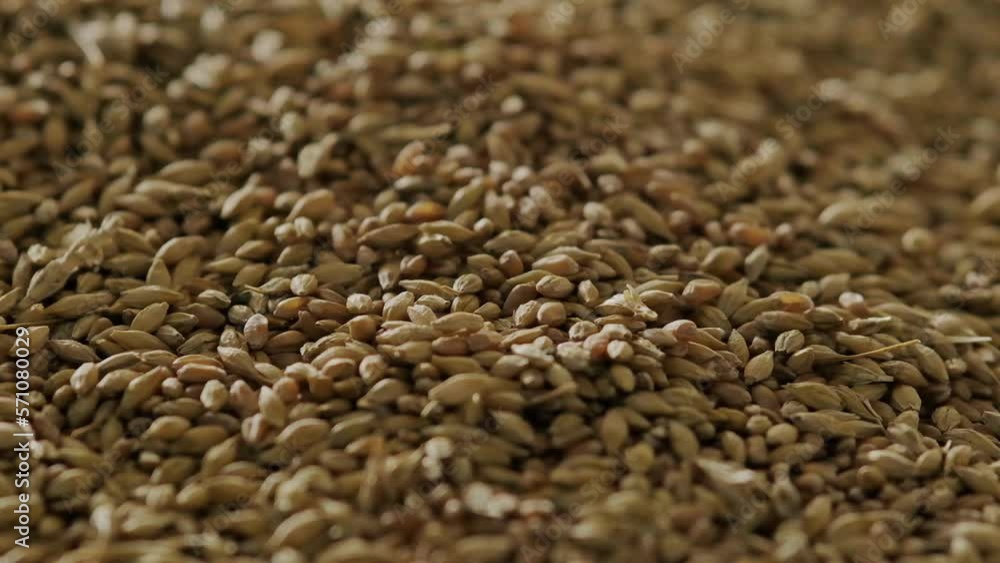 Grain falls into a large heap Slow motion Grain falls into a large heap Slow motion
