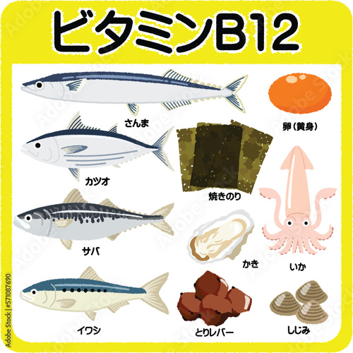 ビタミンB12のイラスト