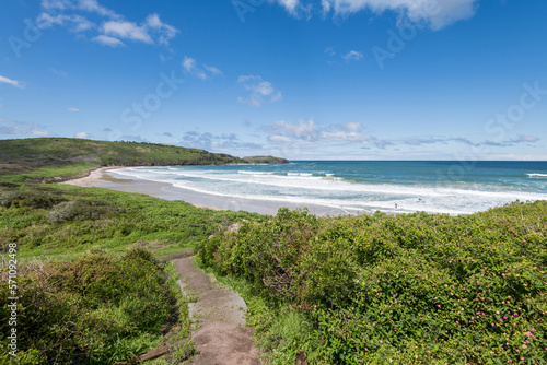 Killalea Beach and Coastline  New South Wales