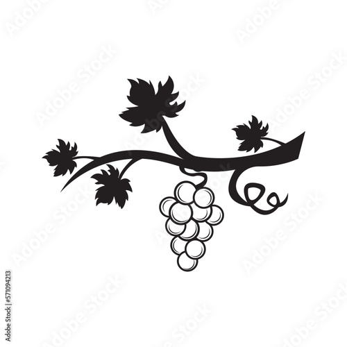 Grape icon vector illustration logo design