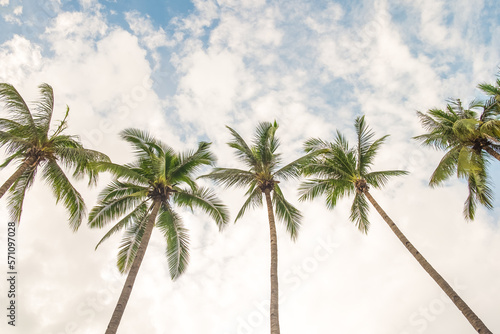 Coconut palm tree at beach with cloud on sky in summer - vintage color tone..