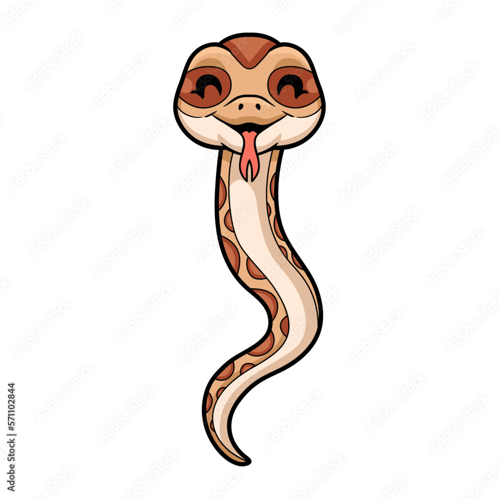 Fototapeta premium Cute daboia russelii snake cartoon