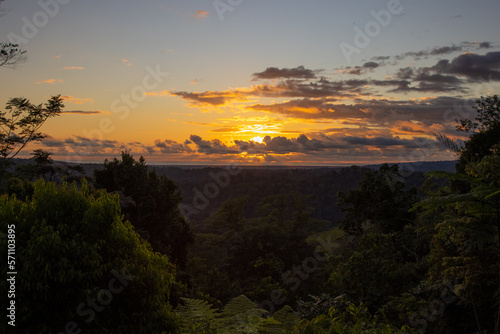 Atardecer bosque primario, Costa Rica. 